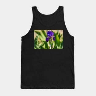 Purple Bearded Beauty Tank Top